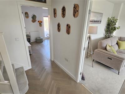 Picture 12